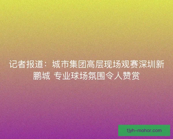 记者报道：城市集团高层现场观赛深圳新鹏城 专业球场氛围令人赞赏