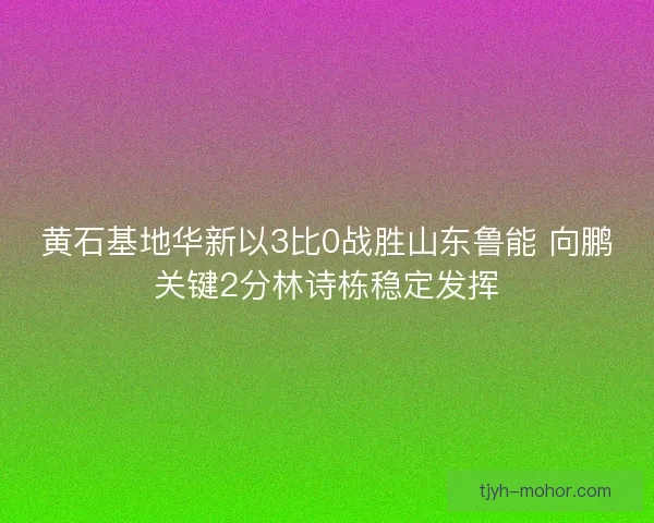 黄石基地华新以3比0战胜山东鲁能 向鹏关键2分林诗栋稳定发挥