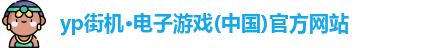 yp电子